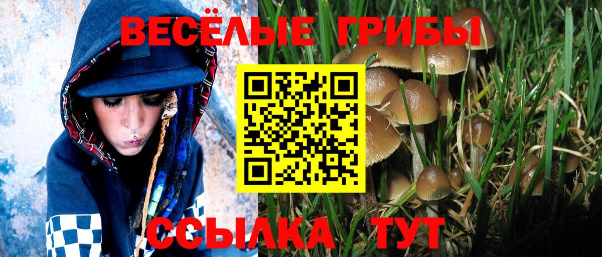Галлюциногенные грибы ЛСД  Вход с VPN  Десногорск  Псилоцибиновые грибы прущие грибы 